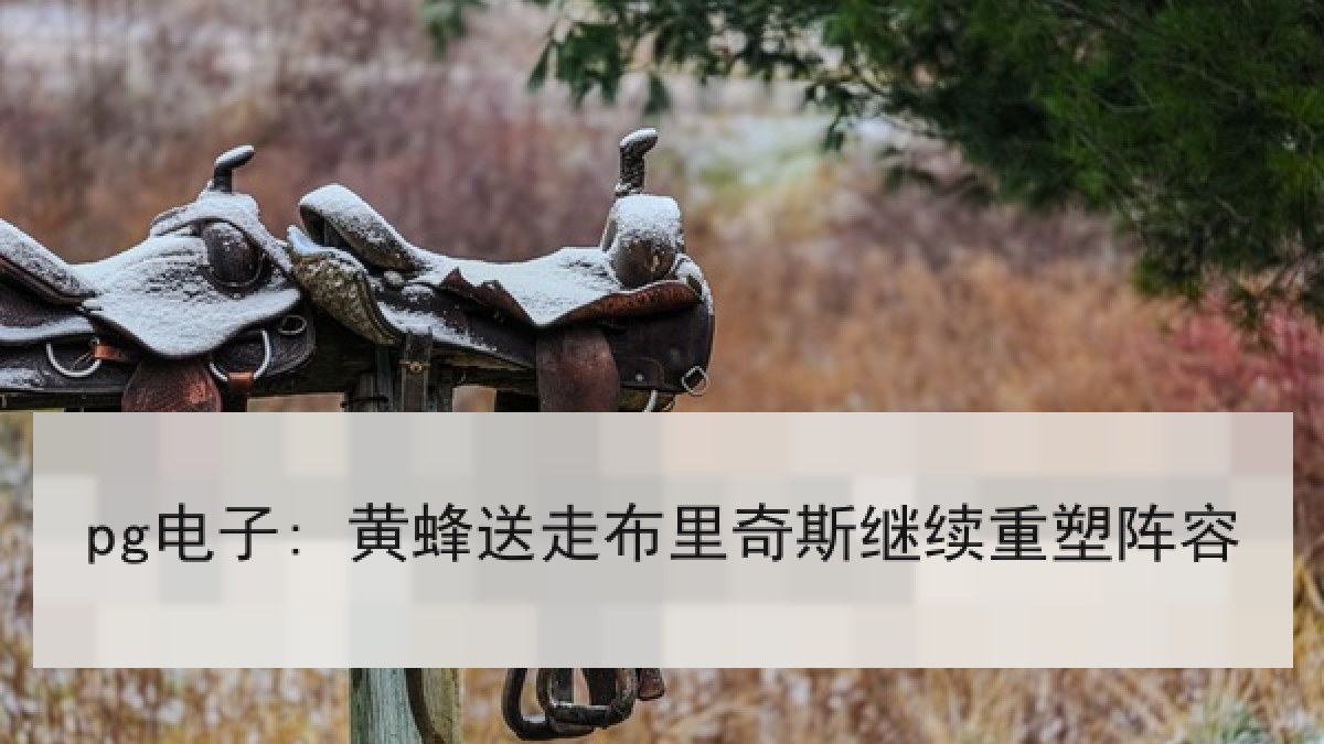 pg电子: 黄蜂送走布里奇斯继续重塑阵容 pg电子: 黄蜂送走布里奇斯继续重塑阵容