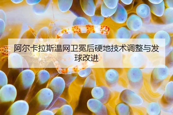 阿尔卡拉斯温网卫冕后硬地技术调整与发球改进