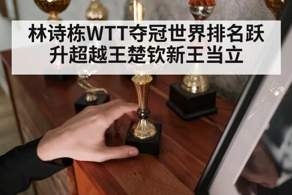 林诗栋WTT夺冠世界排名跃升超越王楚钦新王当立